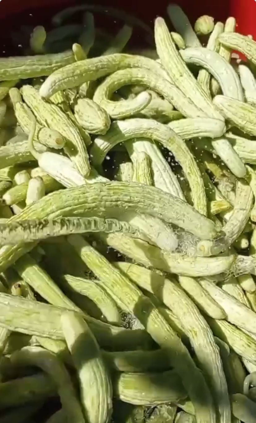 Acur Turşusu