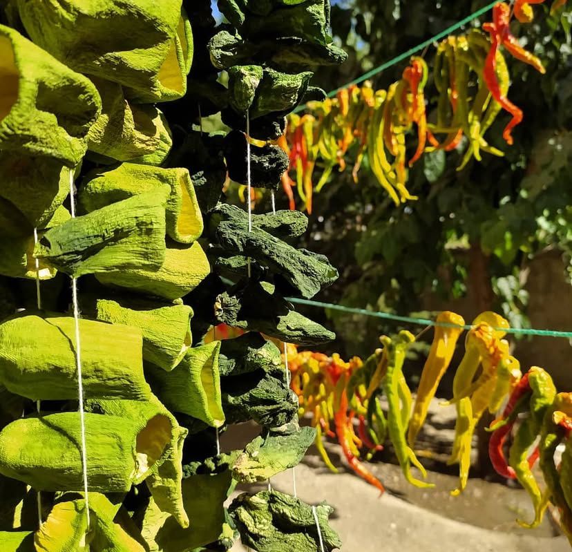 Kuru Kabak Dolmalık